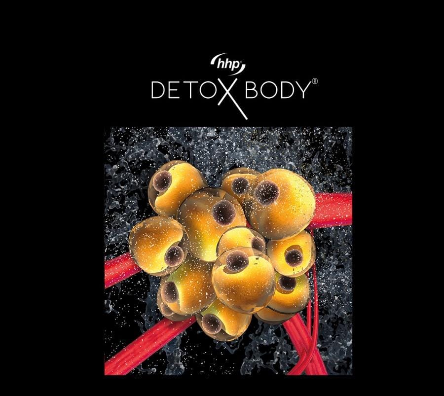DETOXBODY KONSEPTİNİN YAĞ HÜCRELERİ ÜZERİNDEKİ ETKİLERİ